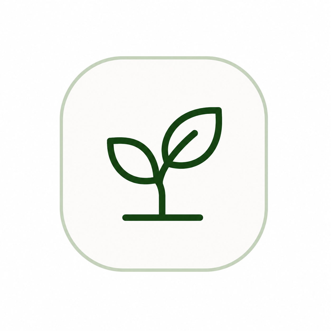 Growing a Greener World: NYC Rooftop Farms